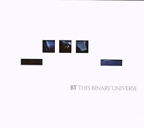 This Binary Universe