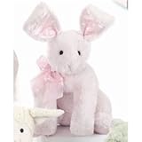 Bearington Baby - Cuddly Cottontail Bunny Knowing God: Walking through the Book of Books