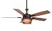Search : Fanimation FP5220OB Andover Ceiling Fan, Oil Rubbed Bronze Finish, 5 Cherry/Walnut Blades, Frosted Glass