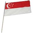 Singapore Flag 12 x 18 inch