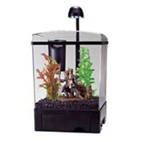 Tetra Pirates Caribbean Aquarium Kit 1.5gal