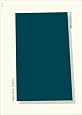 Patriotism (Second Edition)  (New Directions Pearls)