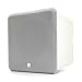 Boston Acoustics Horizon Series HPS-8Wi 8 150-Watt Wireless Powered Subwoofer (White)