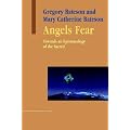 Angels Fear: Towards an Epistemology of the Sacred (Advances in Systems Theory, Complexity & the Human Sciences)