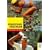 Ausdauertrainer Triathlon: Training mit System