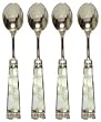Decorative Condiment Spoon with Mother of Pearl Handle Set of Four
