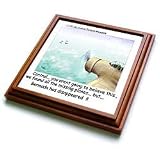 Londons Times Funny Society Cartoons - Planes Found Bermuda Triangle Lost - Trivets