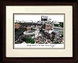 Alumnus Florida Gators NCAA 14 &acute; x 18 &acute; Limited Edition Framed Lithograph - B0001LSN8O