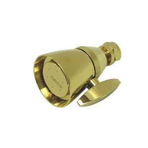 Adjustable Polish Brass Spray 2 1/4” Showerhead