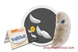 Toxoplasmosis (Toxoplasma gondii) GIANTMicrobes Original