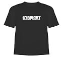 Straight - But I Love Gay Music T-Shirt (ABBA, Pet Shop Boys, Erasure) High Quality T-Shirt