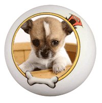 Photo Dog Ball- Create a Ball for Your Dog Using Your Photo