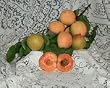Montrose Apricot Tree, Five Gallon Container
