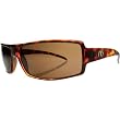 Electric EC DC Sunglasses - Electric Men's Race Wear Eyewear - Tortoise Shell/Bronze