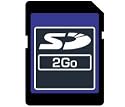 Dane Elec 2GB Secure Digital Card