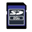 Dane Elec 2GB Secure Digital Card