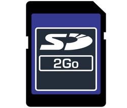 Dane Elec 2GB Secure Digital Card