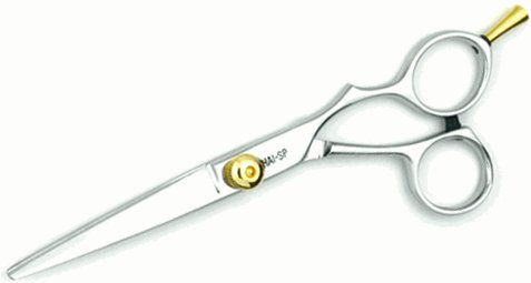 Hairart SP Shear with 6 (B660)