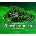 Ober�sterreich: Mit den Augen des Adlers