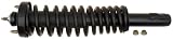 31g3dcSCoBL. SL160  Raybestos 717 1291L Professional Grade Suspension Strut and Coil Spring Assembly