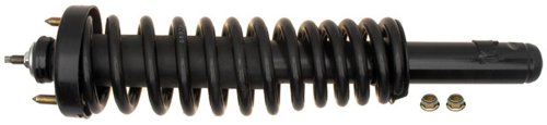 Raybestos 717-1291L Professional Grade Suspension Strut and Coil Spring Assembly On Sale