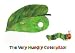 Eric Carle　エリックカール ポストカード（はっぱ） [おもちゃ＆ホビー]