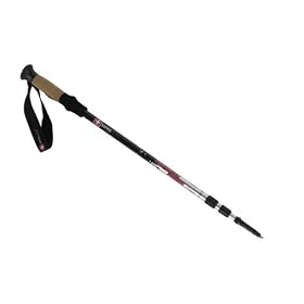 Swiss Gear Carbon-Lite Hiking Poles, 2 Pack (Silver)
