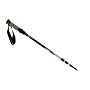 Swiss Gear Carbon-Lite Hiking Poles, 2 Pack (Silver)