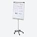 Flipchart hellgrau