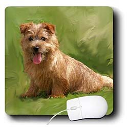 image link - - B002I85VZQ