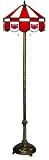 65 Floor Lamp Light University of Arkansas Razorbacks - Free Shipping