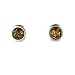 Amber Earrings set in .925 Sterling Silver