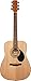Jasmine S35 Dreadnought Acoustic Guitar, Natural Finish