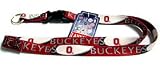 Ohio State Buckeyes Breakaway Lanyard with Key Ring