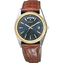 Pulsar Men's Watch #PVM016S