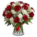 Roses - Perfection(Valentines Offer: Free Shipping)