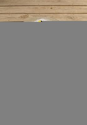 Evergreen 2GB018 Glass Bird Bath, Song Birds, 18-Inches Diameter [Lawn & Patio]
