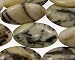 Birch Jasper Beads Horse Eye 28x16mm