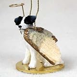 Jack Russell Rgh Coat Blk/Wht Angel