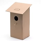 Cardboard Birdhouse||RNWIT