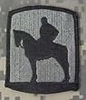 116th Infantry Brigade ACU Patch - Foliage Green