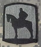 116th Infantry Brigade ACU Patch - Foliage Green