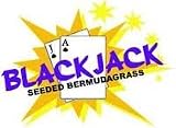 Blackjack Seeded Bermuda Grass Seed 25# Bulk Warm Season 31g7q46P5NL. SL160 Blackjack Seeded Bermuda Grass Seed 25# Bulk Warm Season