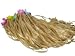 Adult hula skirt tan plastic elastic 28 in elastic waist x 24 inch long