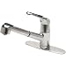 Price Pfister T533-5SS Genesis Pull-Out Faucet, Stainless Steel