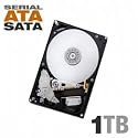 Hitachi 1 TB Deskstar  SATA 7200 RPM 32 MB Cache Internal Hard Drive HD31000 IDK/7K - Retail