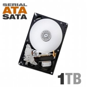 Hitachi 1 TB Deskstar  SATA 7200 RPM 32 MB Cache Internal Hard Drive HD31000 IDK/7K - Retail