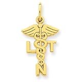 14k Licensed Nurse Technician Symbol Charm