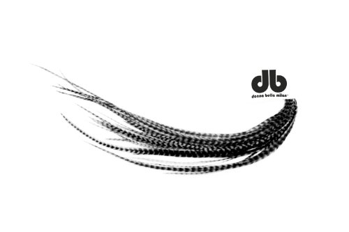 Striped Black & White Feather Hair Extensions - 4 Pack