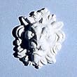 Lion Applique Dollhouse Miniature Embellishment